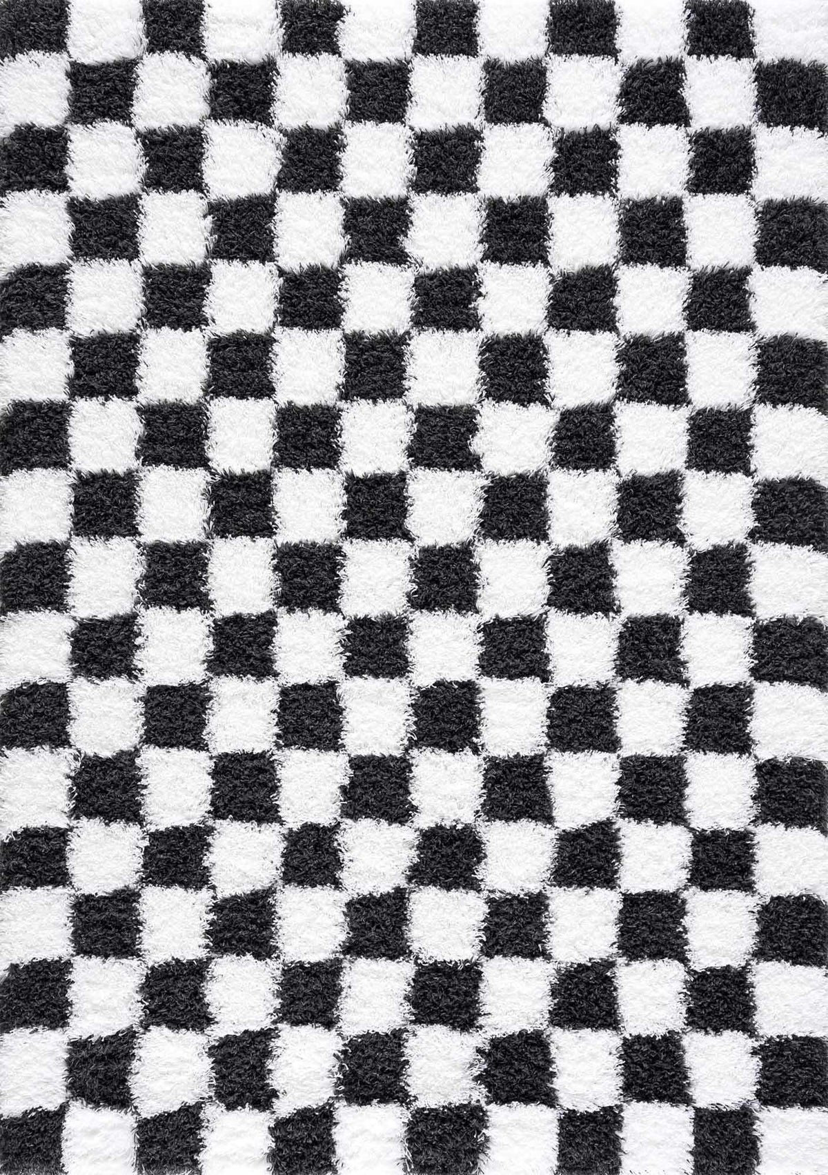 Atira Black & White Checkered Area Rug - Curious Cart