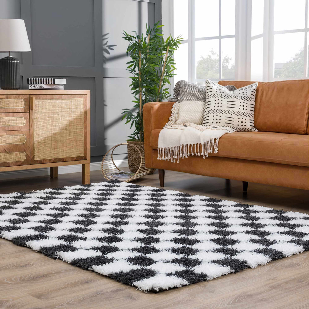 Atira Black & White Checkered Area Rug - Curious Cart
